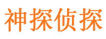 公安市调查公司